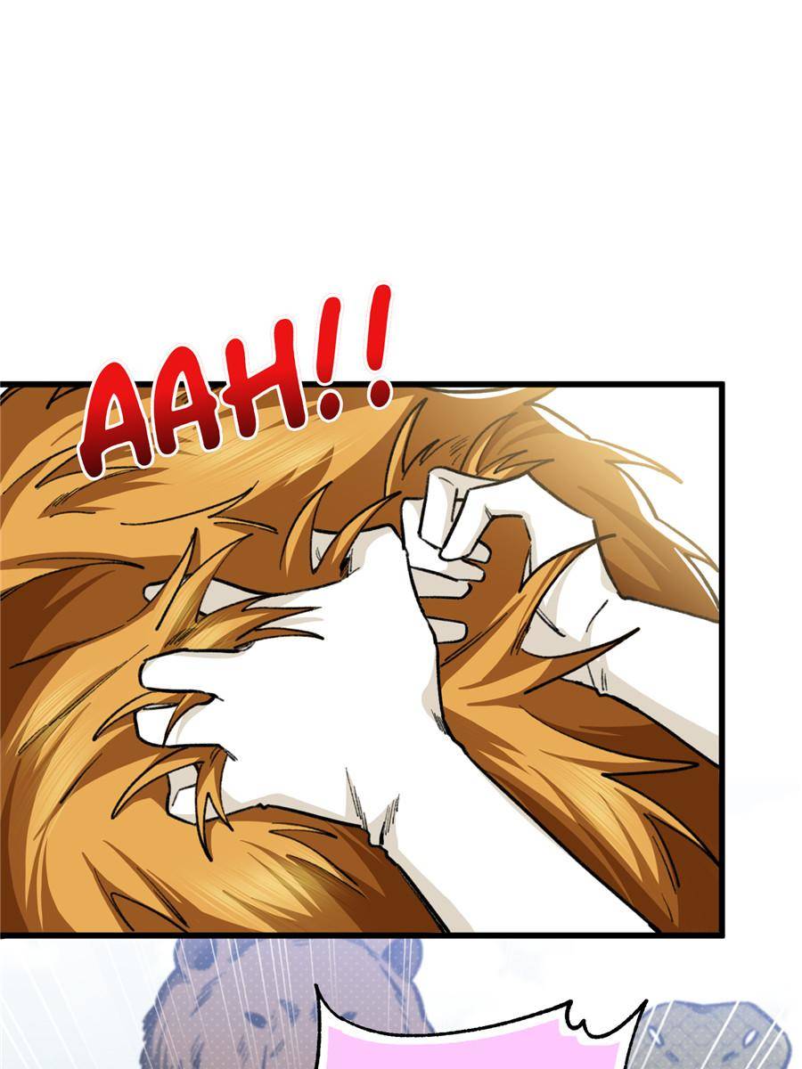 80204628 900 1200 97082