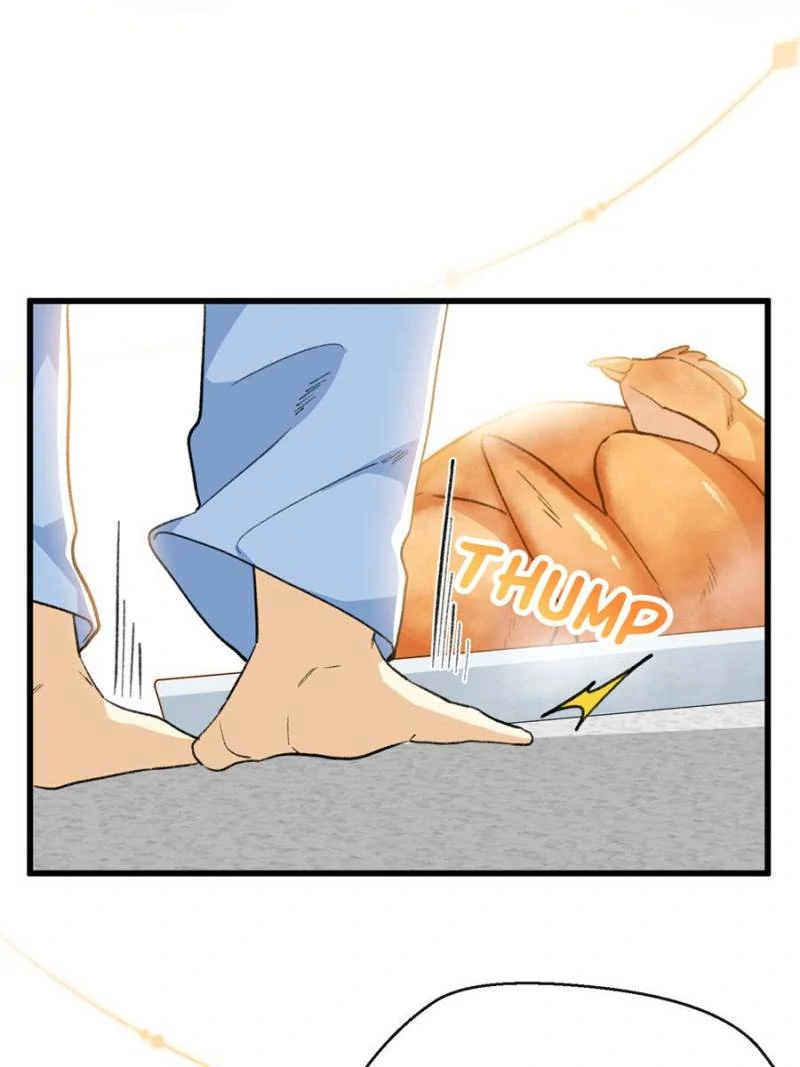 68. A Culinary Triumph 70 81661419 800 1067 48966